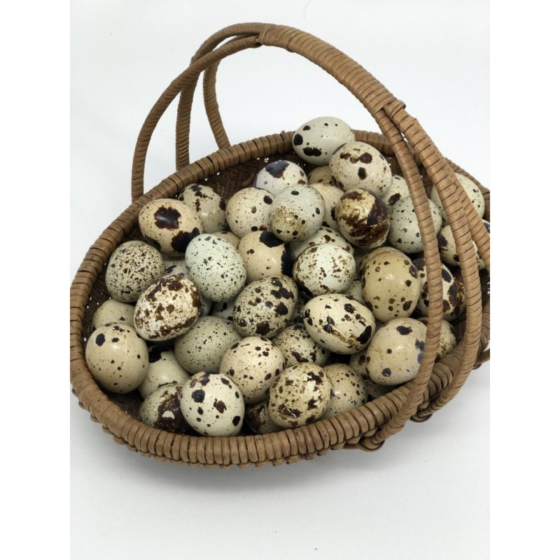 Fertile quail eggs